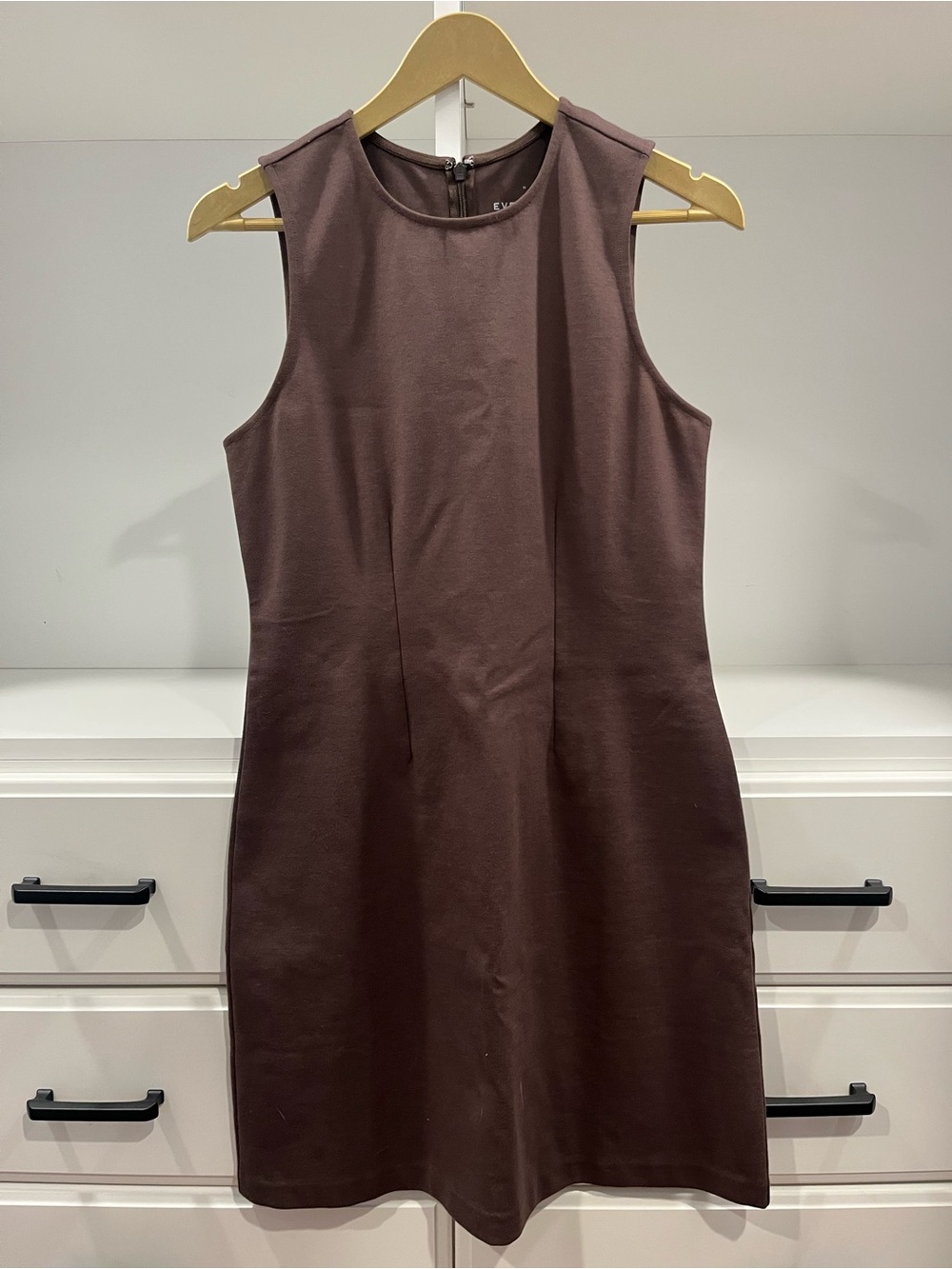Everlane Chocolate Brown Sleeveless Shift Dress
